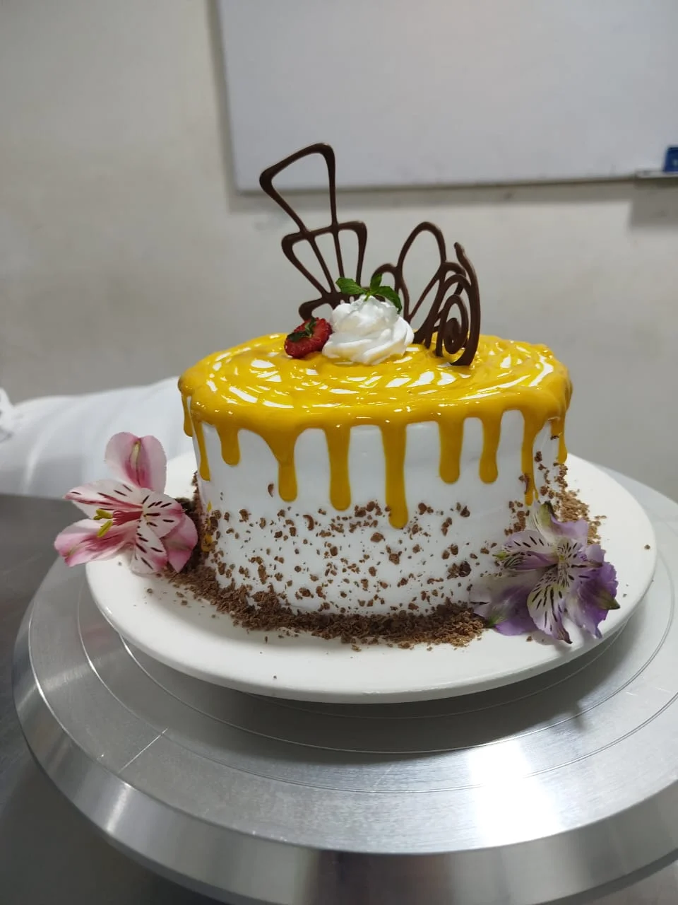 Torta modelo 01