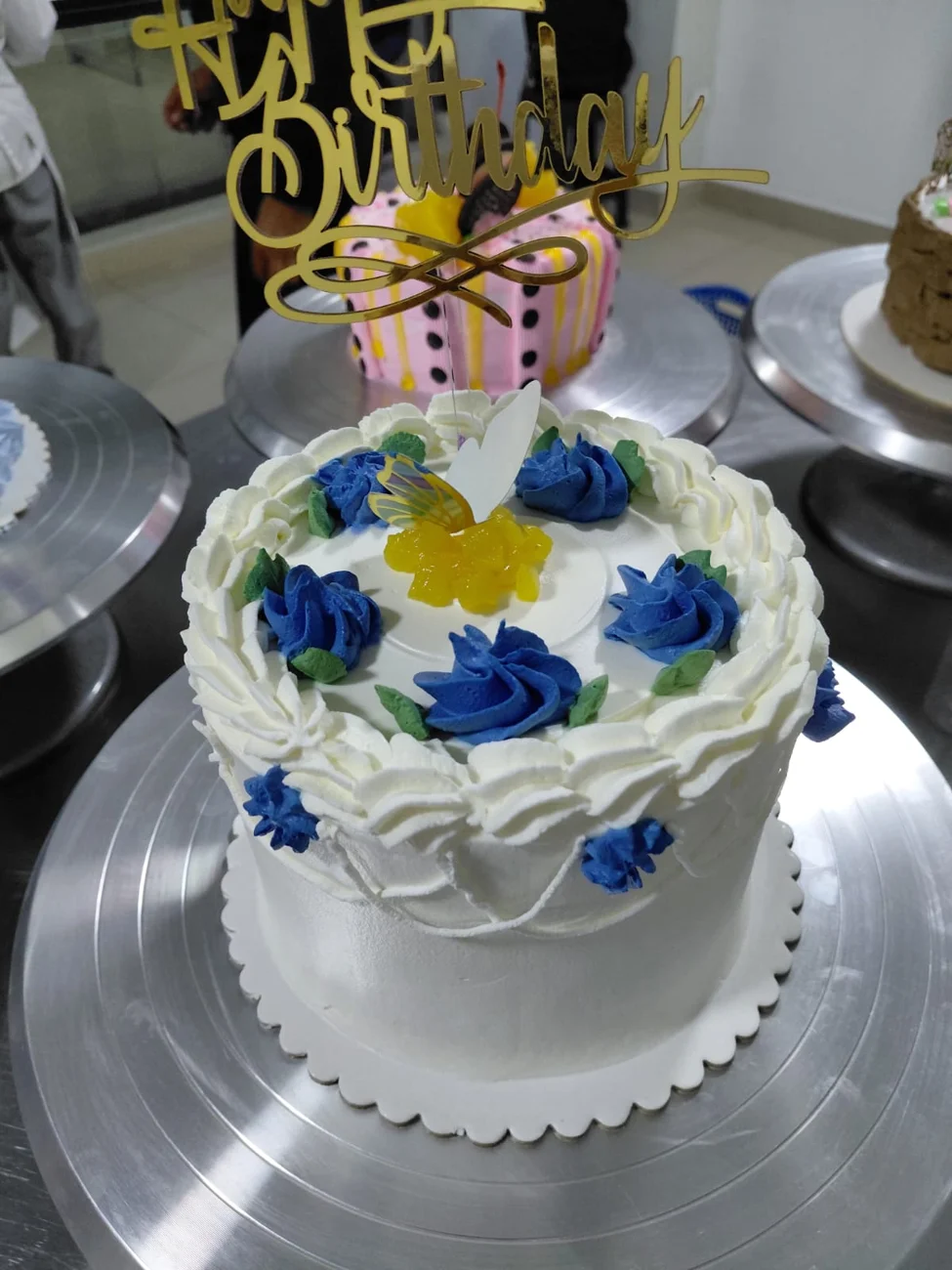 Torta modelo 10