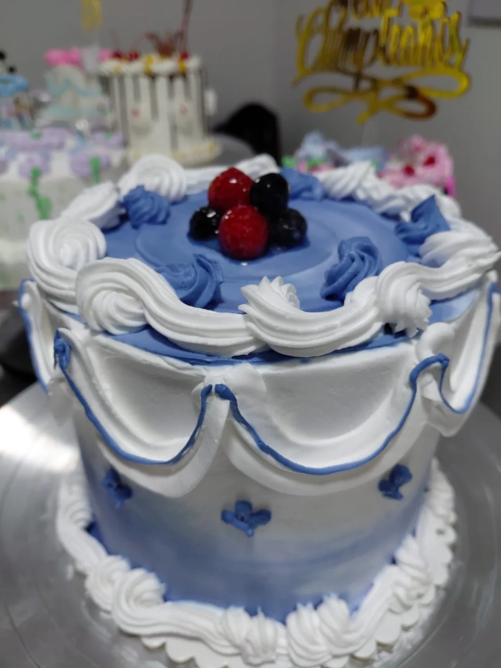 Torta modelo 11